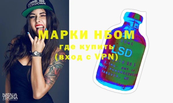 индика Арсеньев