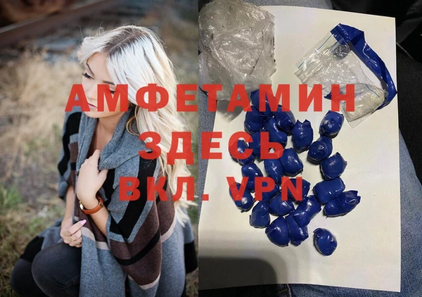 стаф Аркадак