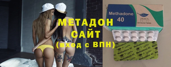 индика Арсеньев
