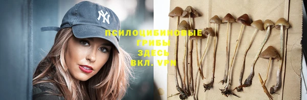 прущая мука Армянск