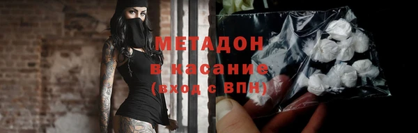 индика Арсеньев