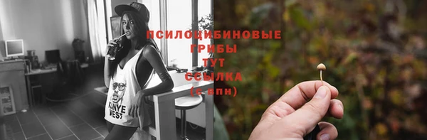 прущая мука Армянск