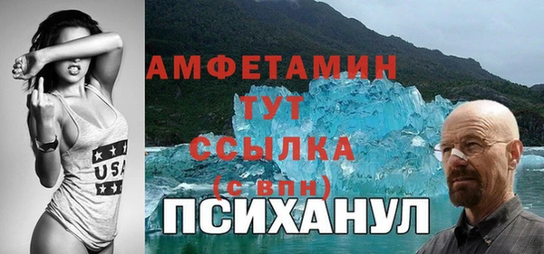 стаф Аркадак