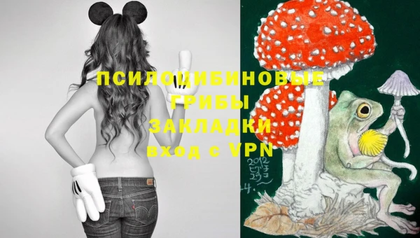 прущая мука Армянск