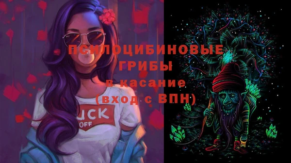 индика Арсеньев