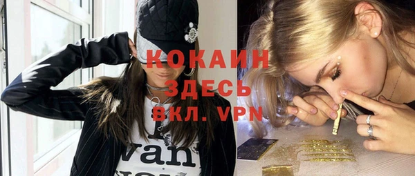 индика Арсеньев