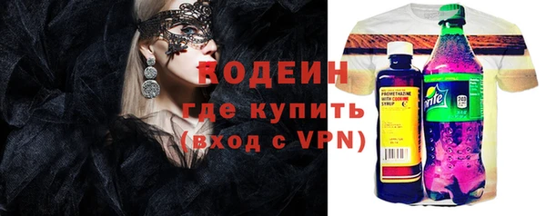 индика Арсеньев