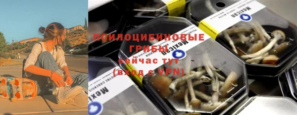 индика Арсеньев