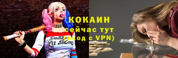 стаф Аркадак