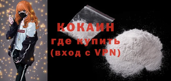 стаф Аркадак