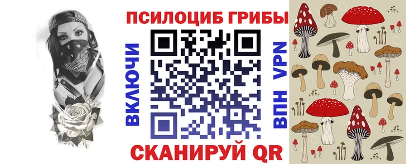 Псилоцибиновые грибы Psilocybe  Белая Калитва 